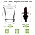 REUJIHXY Heavy Base Shot Glasses, 1.75 oz/ 50 ml Round Shot Glasses Measuring Cup for Espresso, Liquid, and Wine Small Whiskey Shot Glass for Vodka, Whiskey, Tequila (6)