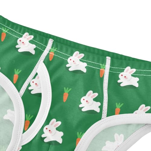 Cute Bunny Rabbit Carrot Green Toddler Boy's Underwear 2T 23022384