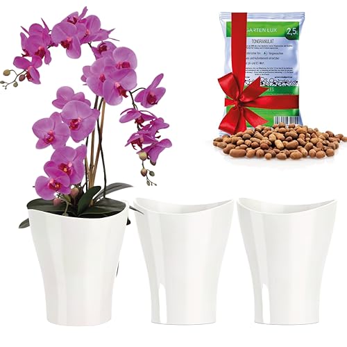 Toyvian 2er Set Orchideentöpfe Transparent | 27 Cm Durchmesser Mit Belüftungslöchern | Wiederverwendbare Pflanzgefäße Für Innen & Außen