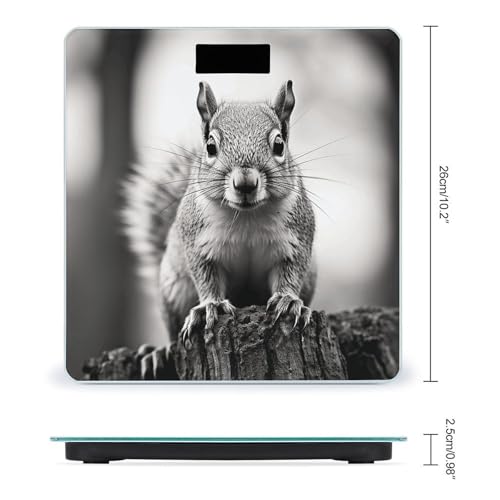 Báscula digital de baño con vidrio templado y pantalla LCD miniatura 2
