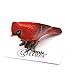 Little Critterz Bird Cardinal Louis - Red Home Decor Birthday Gift Miniature Porcelain Figurine