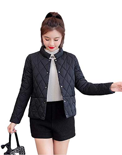 [WO]  X^W V[gWPbg AE^[ fB[X n HD  IVubNL