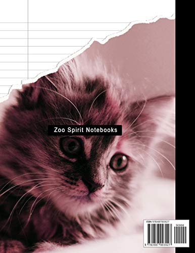 Composition Notebook: Beautiful Wide Ruled Paper Notebook Journal | Cute Cat Blank Lined Workbook for Teens Kids Students Girls for Home School College for Writing Notes. (Office & School Essentials) image 4
