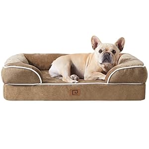 EHEYCIGA Orthopädisches Hundebett Kleine Hunde, 76x51cm, Memory Foam Hundekorb Mittelgroße Hunde, Waschbar Hundesofa Wasserdicht rutschfest, Hundecouch mit Hohem Rand, Kamel