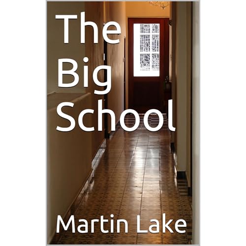The Big School Audiolibro Por Martin Lake arte de portada