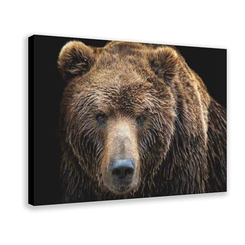 Ours grizzly sauvage impression sur toile 50x75 cm pour décoration murale