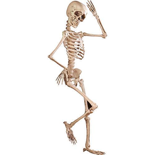 Collections Etc Halloween Skeleton Décor - 4-Foot Tall Posable Realistic Halloween Decoration for Indoor or Outdoor Use