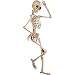 Posable Skeleton Halloween Decor