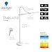 daylight Duo Floor Company Lamp LED-Eye Care-Anti glare-6,000 Kelvin-4 step dimmer-13.5W, White