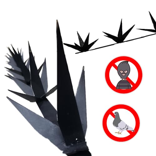 Electricidad, DVD Imagen adicional