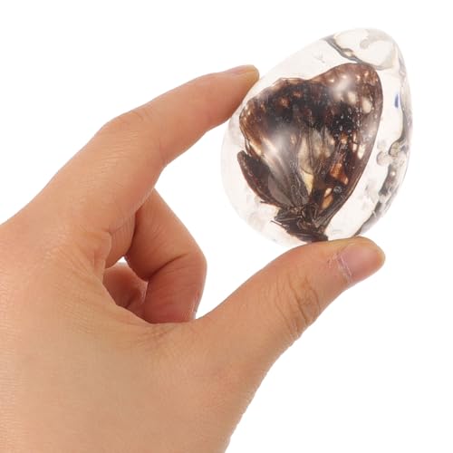 Especímenes de insectos en ámbar de resina, juego de 3 piezas para regalo original de Navidad 4