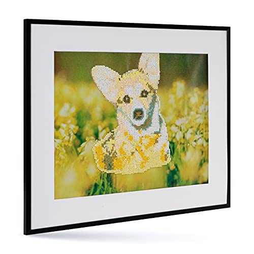 Craft Sensations - Kit de pintura de diamantes 5D, diseño de perro sobre lienzo de 40 x 50 cm, todas las herramientas y herramientas incluidas, desembalar y listo para usar Cover