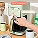B- 12-Cup Programmable Coffee Maker with Touch-Activated Display, Auto Brew Timer, Reusable Filter & Large Glass Carafe (Sage Green)