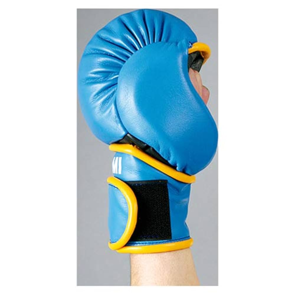 A*様 ISAMI パウンドグローブ 青 Amazon | ISAMI イサミ パウンドグローブ (IS-756) (青, フリー