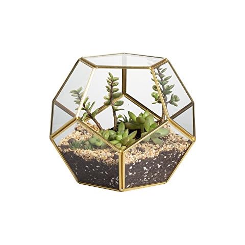NCYP 15cm Small Gold Geometric Terrarium for Moss Succulent, Pentagon Ball Shape Glass Display Planter, Wedding Tabletop Centerpiece, Handmade Brass Decor Flower Pot (No Plants ) (NOT Water Tight) Cover