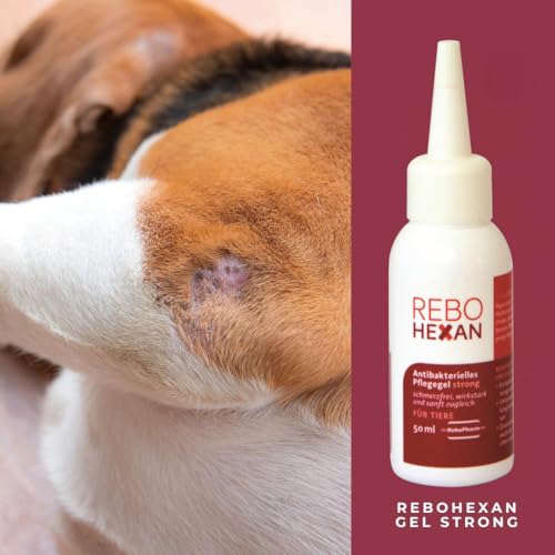 ReboHexan Gel Strong 50 ml: Hochviskoses Pflegegel für Tierwunden, unterstützt die Hautregeneration, Reduziert Narben, Verhindert Ankleben an Verbänden, Ideal für Hautpflege