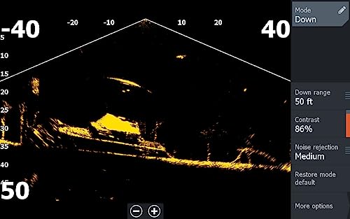 Lowrance ActiveTarget2 Module + Transducer + Mounts