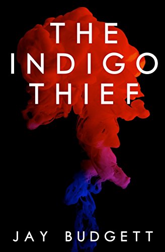 The Indigo Thief view 2