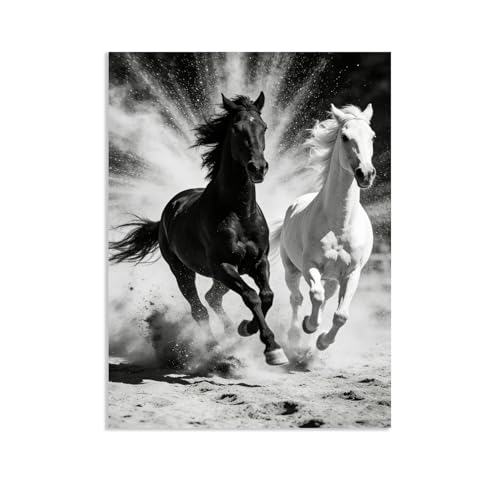 Tableau Cheval Noir et Blanc pour Salon 65x50cm Décoration Murale Animaux sans Cadre