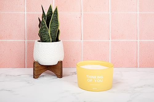 Thinking Of You Candle | Cheer Up Buttercup | Jasmine & Cashmere Scented 3 Wick Soy Candle | Home Decor Candle By The Mine Company #TOP1