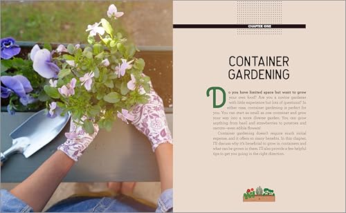 image for Container Gardening for Beginners: A Guide to Growing Your Own Vegetab