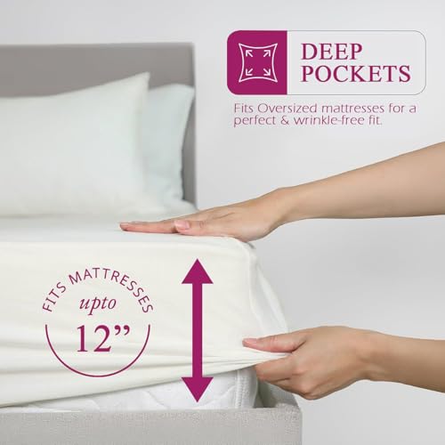 Image of Trance Home Linen 300 TC Bamboo Fitted Queen Size Bedsheet | Soft, Breathable & Eco-Friendly Bedsheet with 2 Pillow Cover - (78 x 60 inch, Off White)
