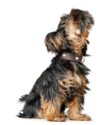 Hunter Hundehalsband Love, Farbe: braun/schwarz, weiches, Robustes Rindsleder, einzeln eingenähte Herzen, handgefertigt, hoher, besonders anschmiegsam, Made in Germany, Größe 32
