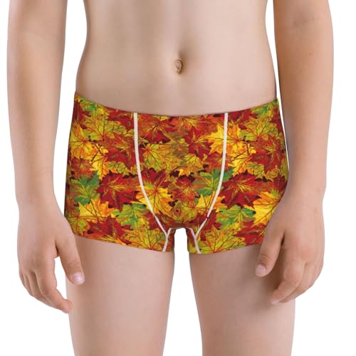 Boys' Cotton Boxer Brief Soft Underwear-Vintage Maple Leaf Autumn