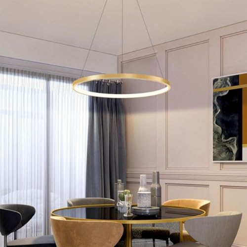 Lámpara colgante LED regulable de metal circular dorada para iluminación interior de casa 4