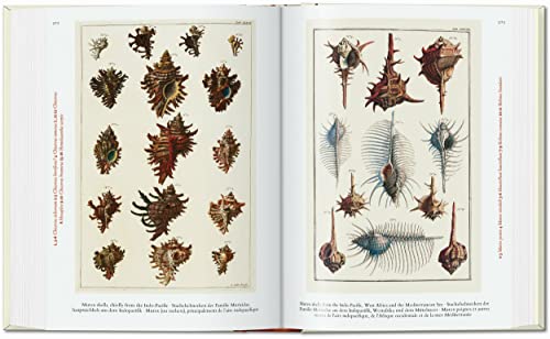 Cabinet of Natural Curiosities: Das Naturalienkabinett Le Cabinet des curiosites naturelles; Locuple