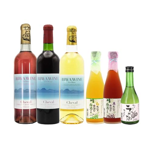太田酒造 株式会社 BIWA・梅酒セット/お酒 飲み比べセット 白ワイン おしゃれ プレゼント /