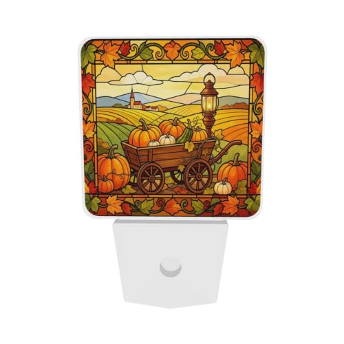 Image of Fall Pumpkin Vintage Farmhouse LED Plug-in Night Lamp Set of 2 for Bathroom