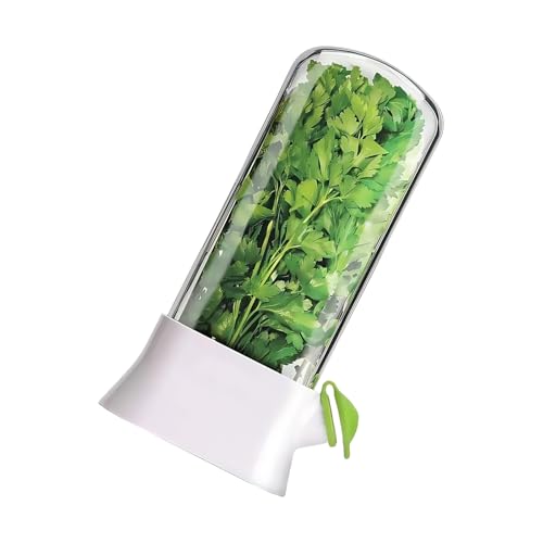 X-Institute Récipient à plantes visible avec trous d'aération pour conserver les aliments, le réfrigérateur, les légumes, le persil et les asperges