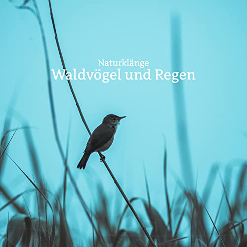 Naturklänge
