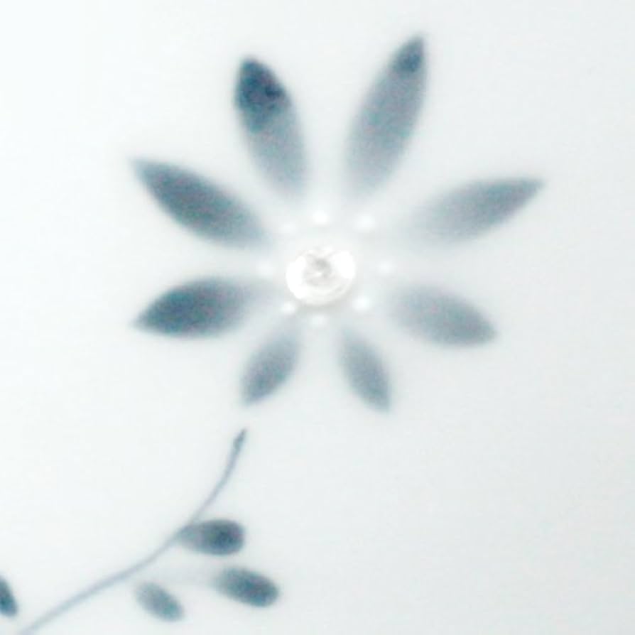 yuritaページ Amazon.com: シートゥーシー ジャパン(Ctoc Japan) Tumbler