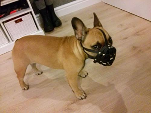 L&J Pets Uk Bozal de perro de cuero ligero para Bulldog francés ''Frenchies'' y otras razas similares (cuero negro, FB - 2) (FB0-2) Cover