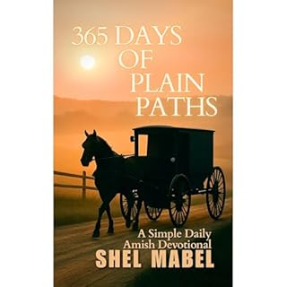 365 Days of Plain Paths Audiobook By Shel Mabel cover art