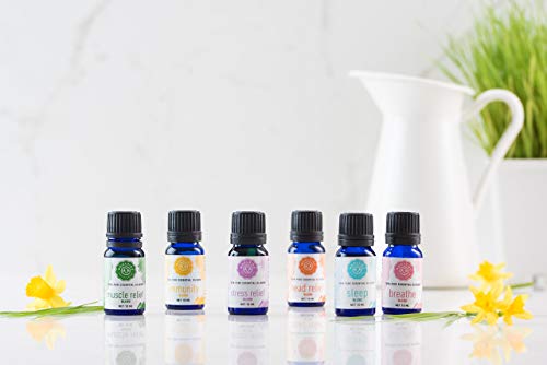 Woolzies Immunity Synergy Blend | for Sinus Health and Cold | 100% Pure, Undiluted, Natural Aromatherapy, Therapeutic Grade - Thumbnail 3