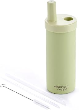 Leakproof Insulated Tumbler with Straws, 24 oz, Green