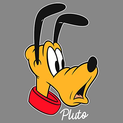 Disney Characters Pluto Big Face Boy's Performance Tee2