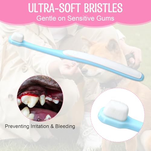 Image of Small Dog Toothbrush, 3Pcs Puppy Tooth Brushing Kit, Soft Head Tooth Brush for Dogs Small Breed, Dog Teeth Cleaning for SmallPet (Yellow Pink Blue)