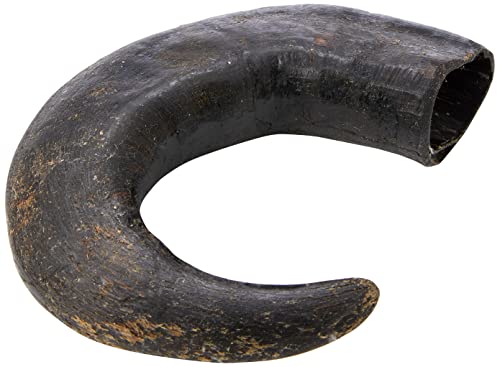 Hollings Buffalo Horn Jumbo Dog Treat, 100% Natural Grain Free Chew Treat for Adult Dogs, High in Protein and Naturally Low in Fat (1 Pack)