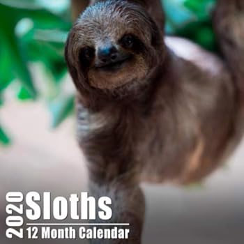 Mini Calendar 2020 7x7 Sloths : High Quality Sloth Photos Small Calendar with Inspirational Quotes Each Month