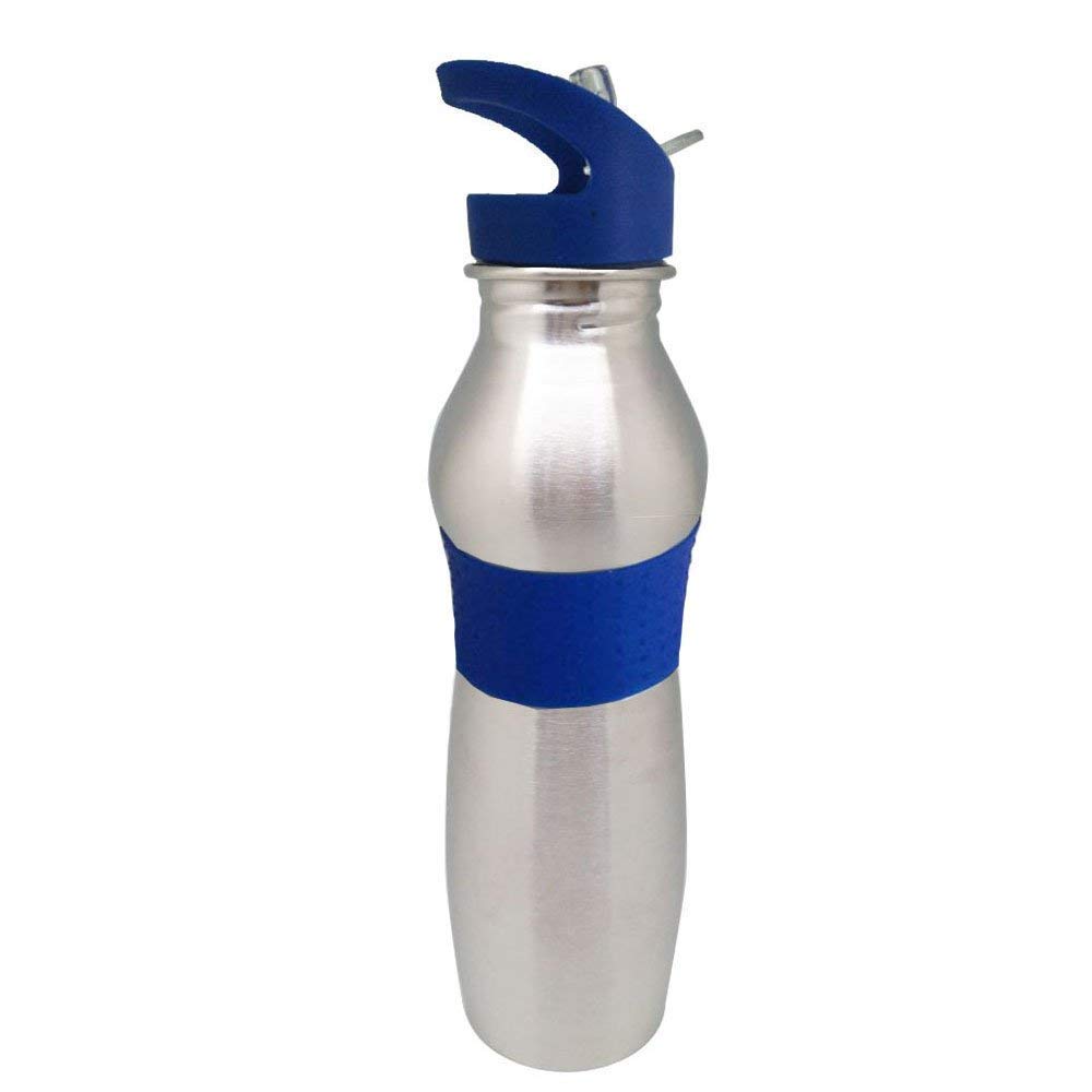 SHIYON 650 ML Stainless Steel Water Bottle Sipper for School Or Sports - Assorted Colours