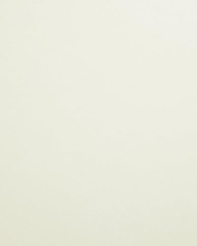 Vista 32 de Cardstock Warehouse Woodstock Betulla - Papel de cartulina de primera calidad, color blanco hueso, 12 x 12 pulgadas, 105 libras, 10.05 oz/m², 25