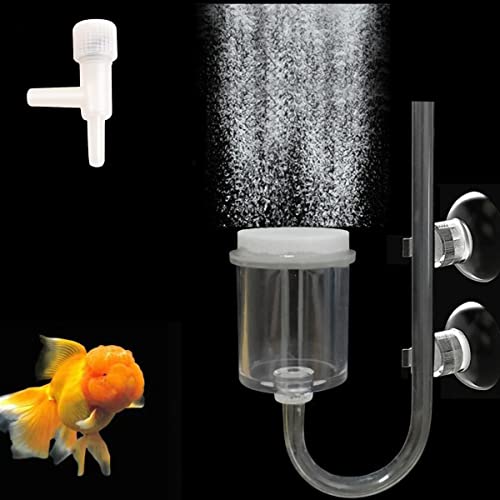 Eterspr 6 Stück Aquarium Luftstein Bälle - 40mm Durchmesser Für Teich & Aquarium