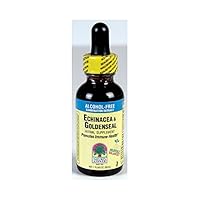 Algopix Similar Product 13 - Natures Answer Afs Ehcinc&Gld.Seal