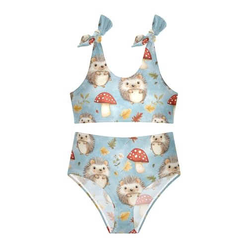 Wusikd Cute Hedgehogs Girls Swimsuits Two Piece Mushroom Swimwear Bikini Set for for Girls Size 3T3