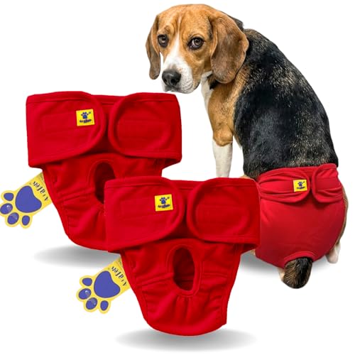 Image of A+a Pets' MAA' Cotton Dog Underwear Diaper Combo - Stretchable, Comfortable, Washable & Reusable (M, Red Set)