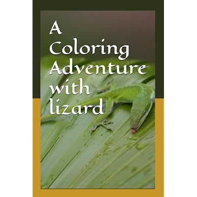 A Coloring Adventure